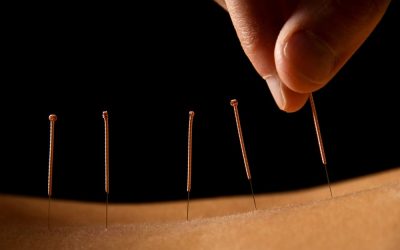 Paper DOT Medical Cards Valid Through October